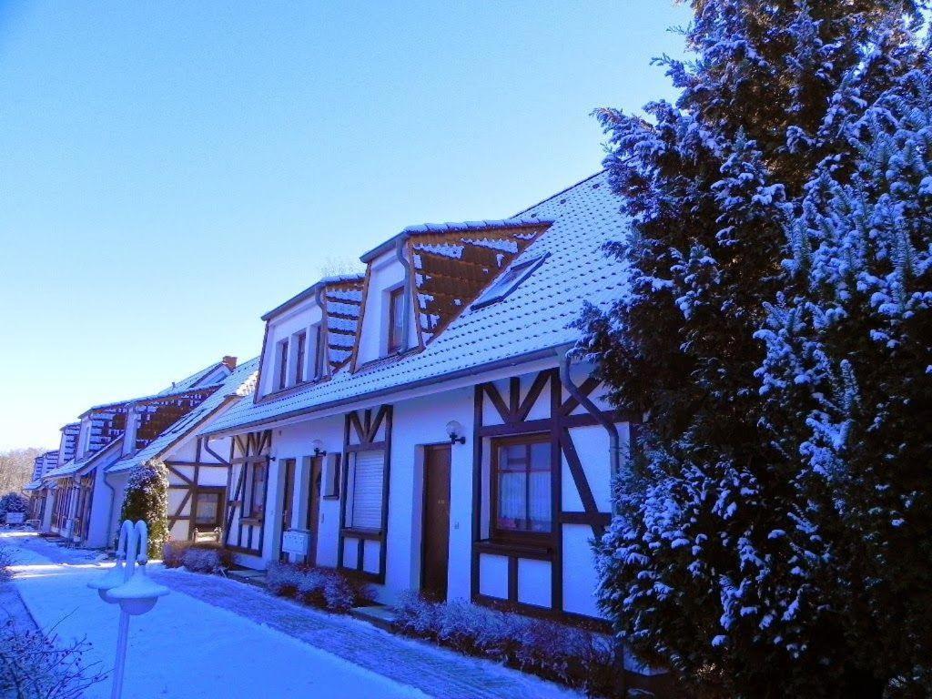 Ferienwohnung-Nils-Holgerson-Mit-Balkon-Zwischen-Strand-Wald-Wiese-Im-Suedosten-Der-Insel-Ruegen Gustow  Exteriör bild