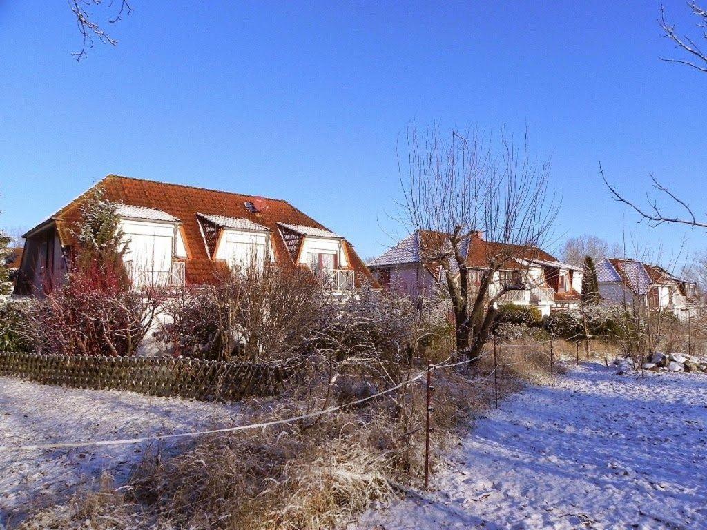 Ferienwohnung-Nils-Holgerson-Mit-Balkon-Zwischen-Strand-Wald-Wiese-Im-Suedosten-Der-Insel-Ruegen Gustow  Exteriör bild